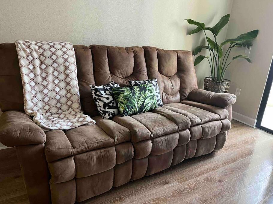 Blooming Journey In Tampa Bay! Apartman Kültér fotó