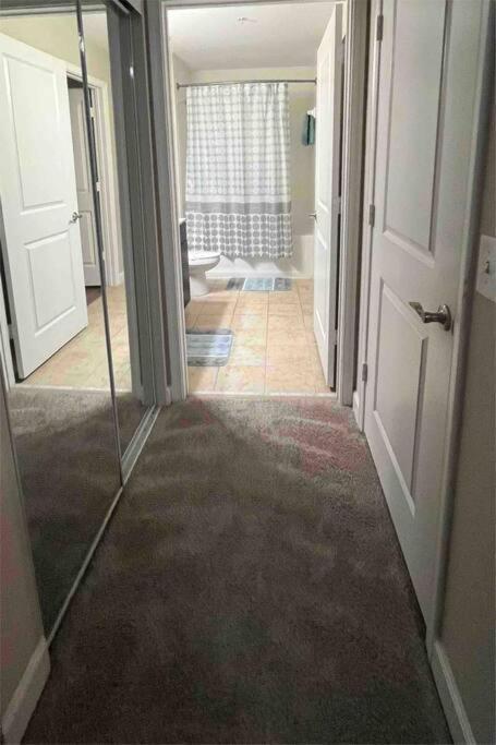 Blooming Journey In Tampa Bay! Apartman Kültér fotó